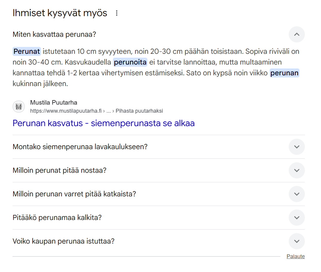 Ihmiset kysyvät myös -SERP on yksi Googlen hakutuloksista, josta voit löytää hyviä, kysymysmuotoisia avainsanoja.