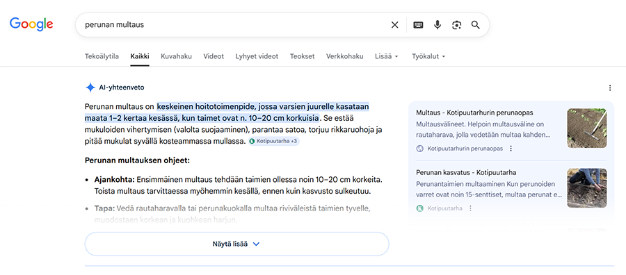 Esimerkki siitä, miten AI Overviews näkyy hakutuloksissa.